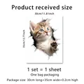 Detail van 3D kattenmuursticker met afmetingen 30x35cm en schattige oranje gestreepte kitten - 3D Cartoon Kat (BM7020-KC)