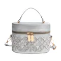 Silver-grey vanity case bag featuring diamond lattice embroidery and golden hardware - Silver