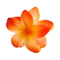8cm Farbverlauf Orange Plumeria Blumen Haarklammer mit glänzendem Finish für Damen - Gelb und Orange Verlauf (2# 8cm)