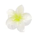Close-up of 4cm gradient plumeria hair claw clip with translucent resin flower petals - Light Yellow (12#)