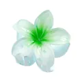 Close-up of a 4cm plumeria hair claw with a blue and green gradient acetate finish - Green (14#)