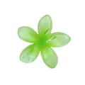 Macro di una clip per capelli a forma di fiore in resina verde sfumata da 4,5 cm dettagliata - Stile 10 Fermaglio Plumeria