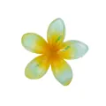Dettaglio di un fermaglio a fiore di 4,5 cm con petali in resina sfumata verde - Stile 11 Fermaglio Plumeria