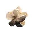 Vue détaillée de la pince à cheveux fleur de 4cm avec dégradé et ressort métallique - Pince Frangipanier Blanc Crème Et Noir