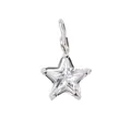 Silver star pendant with sparkling star-shaped crystal and polished hanging hook - April White Star - Steel Style (YPS3015)