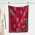 Close-up of red Paisley pattern shawl with ethnic jacquard weave and soft tassel fringe - 185x65cm / Red