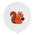 Close-up of a 12 inch white latex balloon with a cute orange squirrel and acorn print - Squirrel