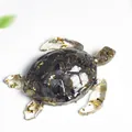 Détail d'une statue de tortue en résine avec cristaux noirs et éclats de feuilles d'or - Labradorite Noire