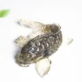 Handmade koi fish ornament with natural crystal gravel in translucent resin base - Black Labradorite