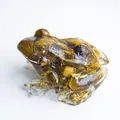 Frog ornament made of clear resin with brown tiger eye stone and gold leaf filling - Tiger's Eye