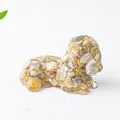 Macro view of a dog resin figurine filled with natural crystal stones for home decor - Crazy Agate