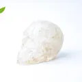 Sculpture de crâne en résine transparente avec éclats de cristal blanc à l'intérieur - Cristal blanc