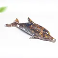 Tiger eye stone filled resin dolphin ornament with crystal natural stone textures - Tiger's Eye