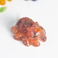 Statuetta gatto ragno in resina ambrata con cristallo naturale su sfondo bianco puro - Agata rossa