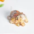 Statuetta fantasy gatto-ragno in resina ambrata con pietre di cristallo naturale - Agata Pazza