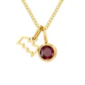 Titanium zodiac necklace with gold irregular pendant and red rhinestone charm detail - January Red Aquarius - Gold Color
