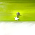 Vista macro di un piercing labiale in titanio argentato a forma di stella su pelliccia finta - Pentagramma