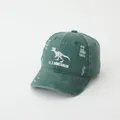 Bordado detallado de esqueleto de dinosaurio en gorra de béisbol vintage verde oscuro - 50-54cm / verde oliva