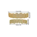 Detail view of gold hip hop grillz set with clear cubic zirconia and exact dimensions - Gold (YT003)
