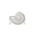 Silver nautilus shell acrylic clutch bag with metallic spiral texture and chain strap - Silver
