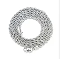 Detailed close-up of a silver twisted rope chain necklace with a secure lobster clasp - Stainless Steel Rope Chain / Silver