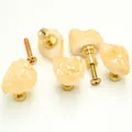 Natural yellow crystal quartz drawer knob with gold brass base and mounting screws - Amber