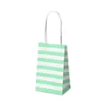 Mint green and white striped small paper gift bag with white twisted rope handles - 7.5cmx5cmx12cm / Green