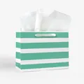 Elegant green and white striped gift bag with white satin handles and tissue paper - 20*7.5*15cm Green Stripes
