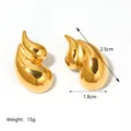 Detailed view of teardrop gold-plated earrings with dimensions 2.5cm x 1.8cm and 15g weight - Water Drop Style (JC-241011-2-1)