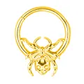 316L stainless steel gold spider clicker ring with skull detail for body piercing - Gold Spider Skull Style (JC-241209-6 Gold)