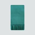 Teal wool blend scarf for women featuring soft brushed texture and classic fringe tassels - 220x30cm / Mint Green