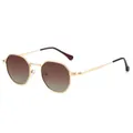 Retro polygon polarized sunglasses with gold metal frame and brown gradient lenses - Gold Frame Tea Lens