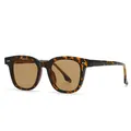 Retro tortoise shell sunglasses with amber lenses and metal studs on white background - Tortoiseshell Frame Tea Lens