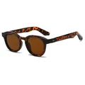 Vintage tortoiseshell round sunglasses with brown lenses and silver rivet accents - Regular / Tortoise Shell Frame