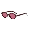 Retro oval sunglasses with dark burgundy frames, pink lenses and silver metal accents - Jujube Red Frame Red Lens (C04)