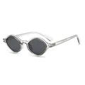 Oval transparent grey sunglasses with dark lenses in a 3/4 view for a trendy look - C6 Light Gray Frame Grey Lenses