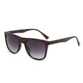 Vintage Sonnenbrille in Schildpatt-Optik mit quadratischem Rahmen und grauen Verlaufsgläsern - Schildpatt und Verlaufs-Grau
