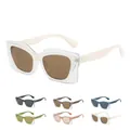 Cat-Eye-Sonnenbrille mit transparentem Doppelschichtrahmen in verschiedenen Farben - Transparenter Blauer Rahmen Blauer Bügel (C4)