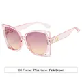 Pink cat-eye sunglasses with transparent frames and gradient brown lenses for women - Pink Frame Pink Tea Lens