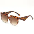 Fashionable cat eye sunglasses with tortoiseshell and transparent frame and brown gradient lenses - Tortoise Clear Gradient Brown