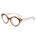 Gafas de sol retro cat-eye con montura de leopardo y patillas transparentes claras - Marco Champaña Lente Clara