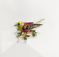 Exquisito broche de pájaro dorado con esmalte rojo y amarillo y brillantes diamantes - Verde Claro Y Rojo