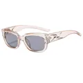 Lunettes de soleil rétro élégantes avec monture transparente et verres gris foncé. - Monture Marron Clair Verres Gris