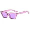Vintage cat eye sunglasses with transparent purple frames and decorative yellow rivets - Trans Purple Frame Purple Lens (C5)