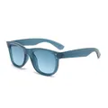 Blue-green translucent leopard print sunglasses with blue gradient lenses for men and women - C3 Blue-Green Frame / Blue Gradient Lens