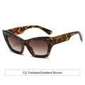 Retro tortoise shell cat-eye sunglasses with gradient brown lenses on white background - Tortoise Frame Gradient Tea