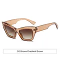 Cat eye sunglasses in translucent brown frame with matching gradient brown lenses - Tea Frame Gradient Tea