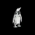 Broche de pingüino gótico de acrílico con patrón de esqueleto blanco para bolsos y ropa - Estilo Esqueleto De Pingüino (XZ1428)