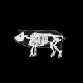 Broche esqueleto de cerdo en acrílico con detalles anatómicos blancos en fondo negro - Estilo Esqueleto De Cerdo (XZ1429)
