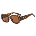 Tortoiseshell polygon sunglasses with brown lenses and silver rivet accents - C2 Leopard Frame Brown Lens